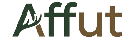 Affut